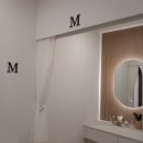 리온 메디 이미지