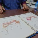 쥬시동물병원 이미지