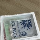 디디얌 | 디디얌 상하이 버터떡 4구 후기｜카카오톡 선물하기 디저트 추천 (츄러스·카스테라 비교)