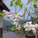 오례스테이 이미지