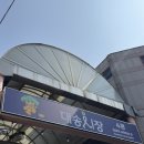 정연채내과 앞 노상 | 울산 일산해수욕장카페 대왕고래카스테라 포장 예약 방문 후기