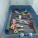 샵댕댕댕 이미지