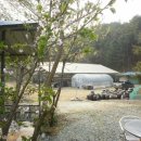 안터사슴농장 이미지