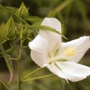 길목가든 이미지