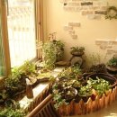 수민이네 이미지