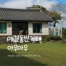 함덕 화산송이 펜션 | 제주 조천 애견카페 아우아우 | 함덕해수욕장 근처 운동장 넓은 애견 카페