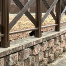 홈마트앞 버스정류장 | 둥근 해 미틴 거 또 떴네