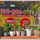 주안역 센트레빌아파트 이미지