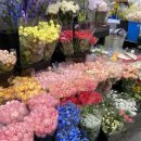 영화로 만나는 힐링 인문학 산책 | 서울 본식 스냅 '리멤버미스냅' 작가 일상 #23 (웨딩 야외 스냅과 양재 꽃시장)