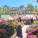 경기도 데이트 추천 용인 가볼만한곳 자작나무숲 수국꽃축제 방문후기