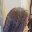 쥬니주