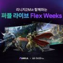퍼플X