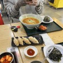 대디동물병원 | 강추!) 비글맘&amp;도베르만대디 필독! 2025년 댕트레킹 생생 후기 및 필수 정보