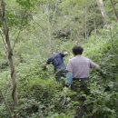 피아골민박 이미지