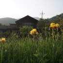 꿈꾸는강 이미지