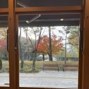 동백빌딩 | 용인 동백 카페 진쿠 추천후기