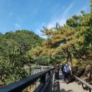 숲나루공원 이미지