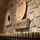 Fantasia (wine!) 이미지