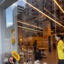 펌킨 펫하우스 청담 이미지