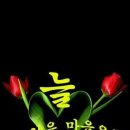 늘;한결같은