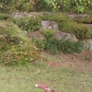 인향 민박 이미지