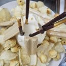 엘로엘키즈풀빌라 이미지