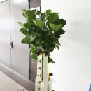 송내테크노밸리 이미지