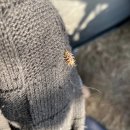 공원주유소 화장실 이미지