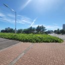 새서귀초등학교 이미지