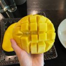 기찬정비 이미지