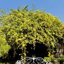 목향별관 이미지