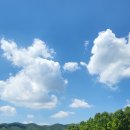 코스카cc 이미지