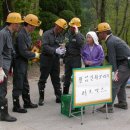 철암초등학교 이미지