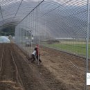 오가네 하우스 이미지