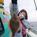 3일이런게힐링이지도다리가자미퍽퍽~구룡포웨이브호선상낚시 이미지