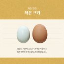 통일청란 이미지