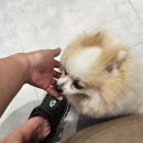 츠키네일 | [호치민] 1군 가성비 로컬 네일샵 추천 "츠키 우미(Tsuki Umi Nail Bar)" 내돈내산 솔직후기