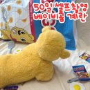 베니비디비치 소품대여(베이비곰 계란/콜라)후기 및 50일 셀프촬영하기