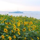 일광수산
