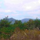 청산목장 이미지