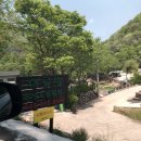 천태산 오토캠핑장 이미지