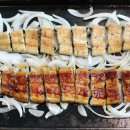 힘찬장어 이미지