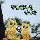 사랑의 편지를 보내며~ 이미지