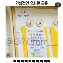 보배유치원 이미지