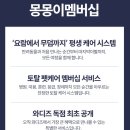 몽몽이 애견미용 이미지