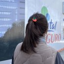 구로구청구내식당 | 잘 먹고 잘 사는 4월 일상
