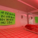 토종한우직거래장터