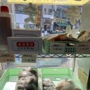 대가떡방앗간 이미지