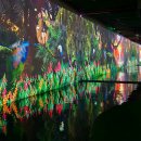 보문로1(남) 이미지