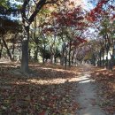 삼각지역 7~8번 출구 이미지